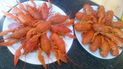 Прикрепленное изображение: IMG_20161007_165906.jpg